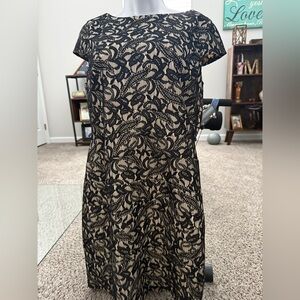 Elegant Black Lace Dress p16